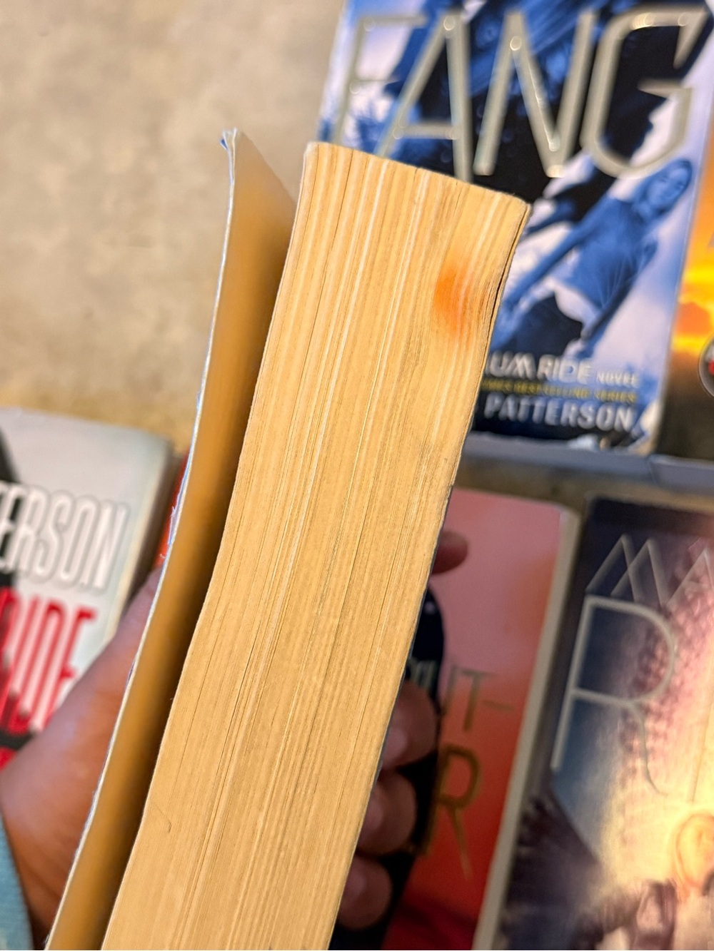 Maximum Ride Series - Picture 2 of 3